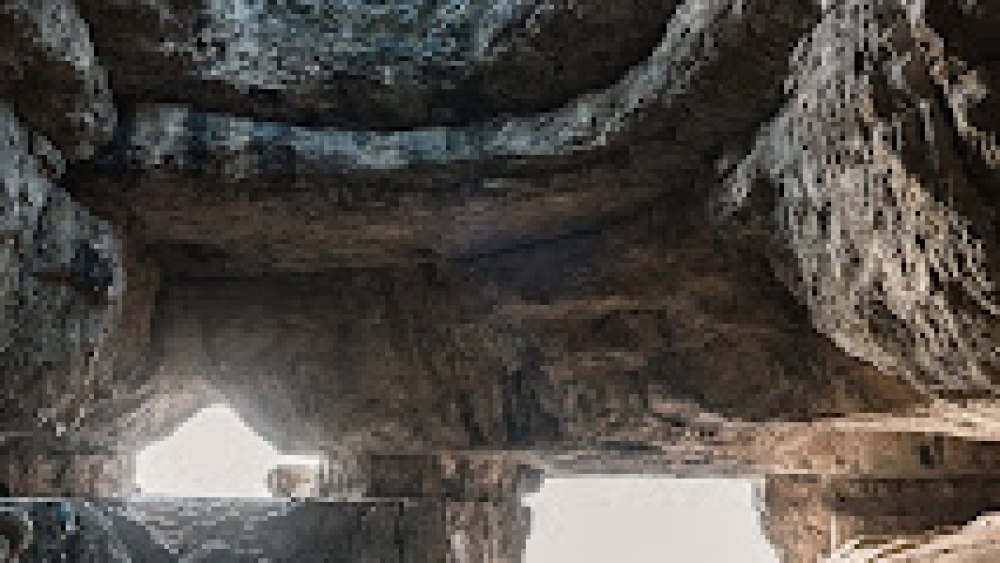 bence-balla-schottner-8SOKuMj4PgI-unsplash