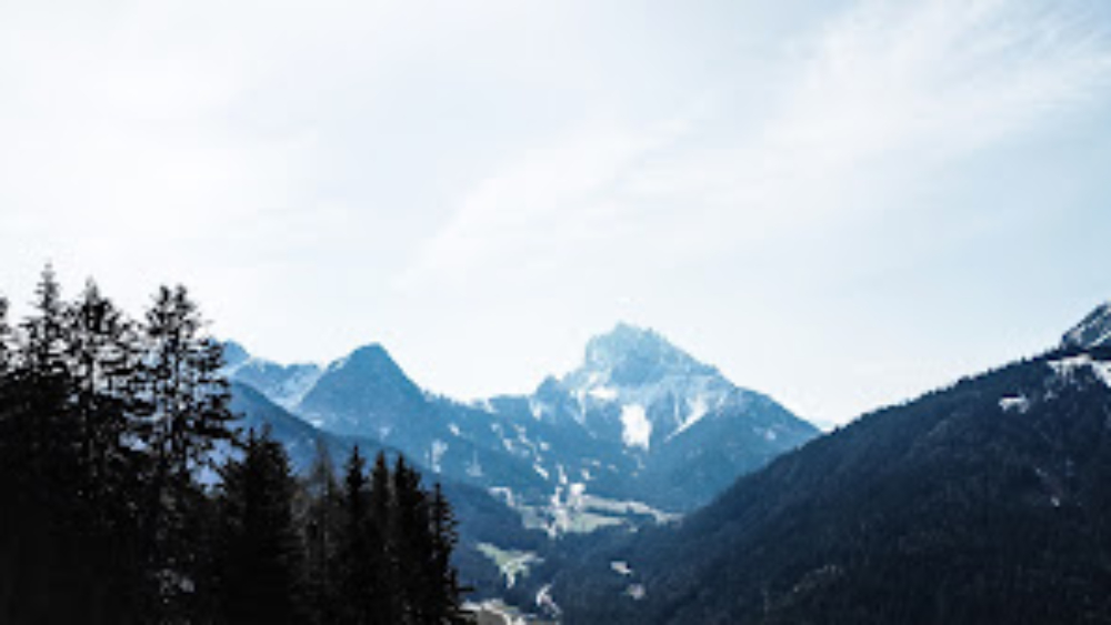 laura-chouette-ZOllcKNlONM-unsplash