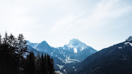 laura-chouette-ZOllcKNlONM-unsplash