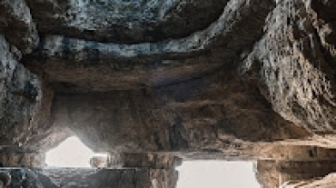bence-balla-schottner-8SOKuMj4PgI-unsplash